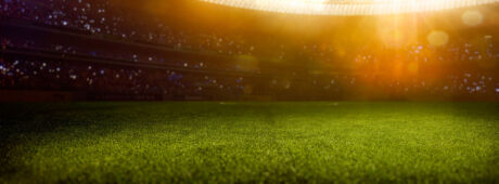 Beitragsbild zur Themenwelt Sportrasen