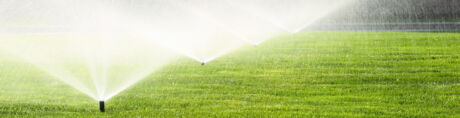 Bewässerung Sportrasen