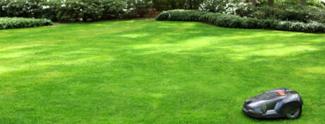 Rasen mähen mit Mähroboter