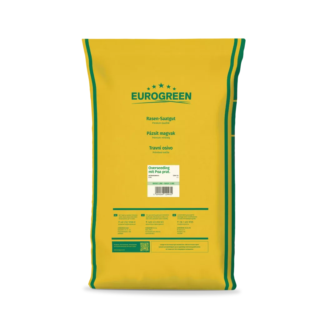 Overseeding mit Poa pratensis