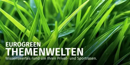 welchen dünger braucht cannabis ProviPlant Cannabis-Grow-Dünger: Anwendung während der Wachstumsphase
