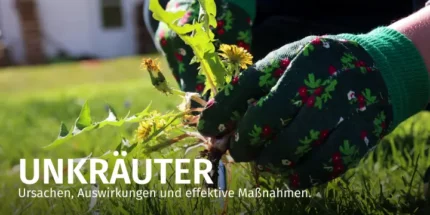 EUROGREEN - Ihr Partner fr perfekten Rasen | Rasendnger & Rasensamen