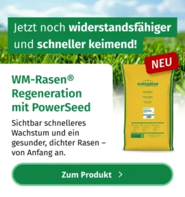 Rasensamen WM-Rasen Regeneration 1219002