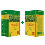 Immergrün-Rasen mit Mikroklee Sparpack