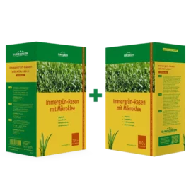 Produktverpackung Saatgut Immergrün-Rasen mit Mikroklee Sparpack