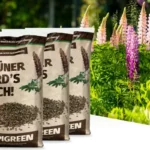 Lupigreen® Jahrespaket Frühjahr, Sommer, Herbst