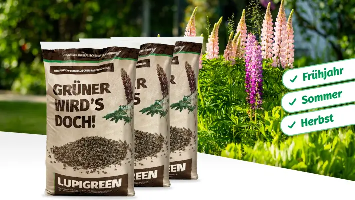 Lupigreen® Jahrespaket Frühjahr, Sommer, Herbst