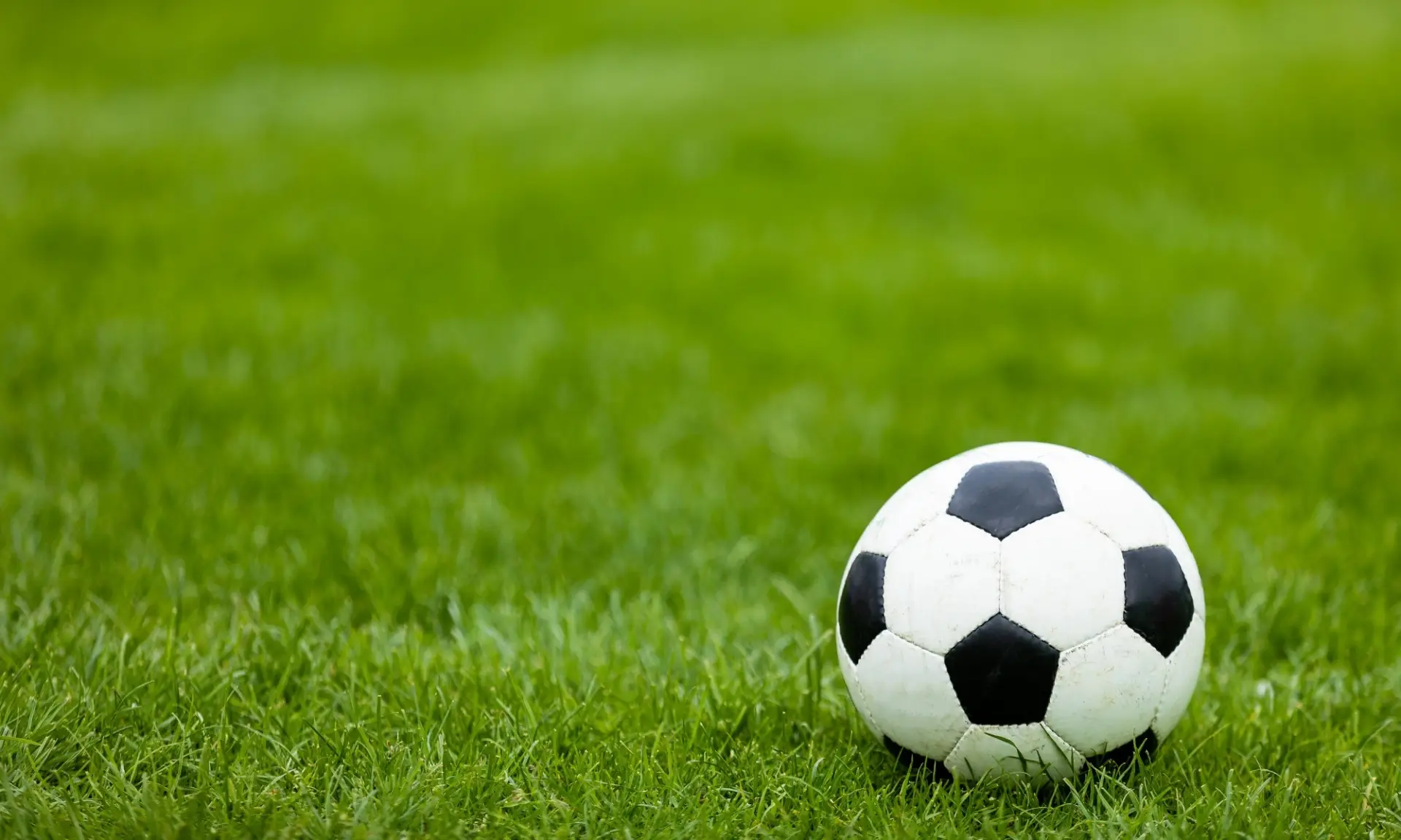 Neuanlage Sportrasenfläche Banner Themenwelt Neuanlage Sportrasenfläche
